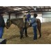 Horsemanship Arena- Sponsor a child for therapeutic services!