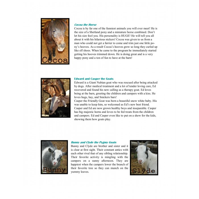 Horsemanship Arena- Sponsor for a full year and SAVE $200!